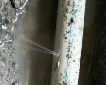 綦江卫生间测漏水多少钱