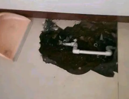綦江卫生间测漏水多少钱